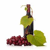 Red Wine and Grape Vine