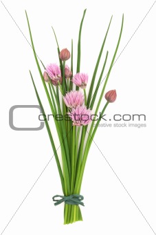 Chives Herb Flower Posy