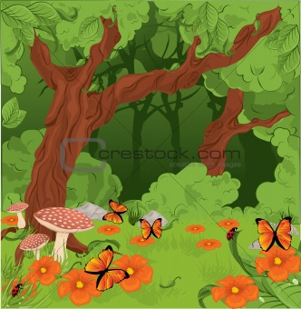 Forest background 
