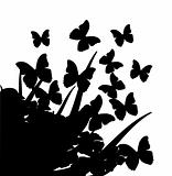 Illustration with silhouettes of butterflies, flowers and grass 