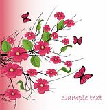vector cherry blossom with butterfly