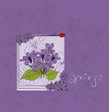 beautiful violet card