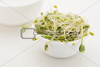 sprout mix in white bowl