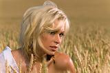 blonde sitting on a field of wheat