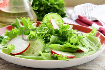 salad with radishes,cucumber,green peas