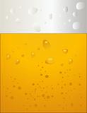beer bubbles vector