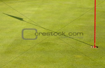 Golf detail