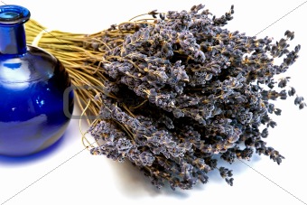 dried bouquet of fragrant lavender and blue bottle