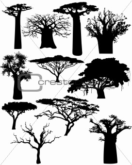 various African trees and bushes