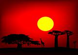Africa sunset - vector