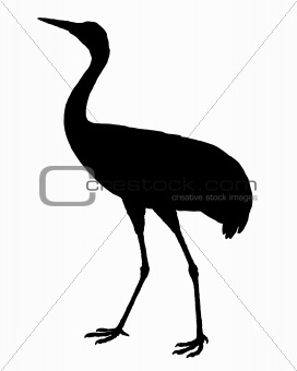 Common Crane silhouette