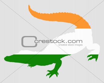 Crocodile India