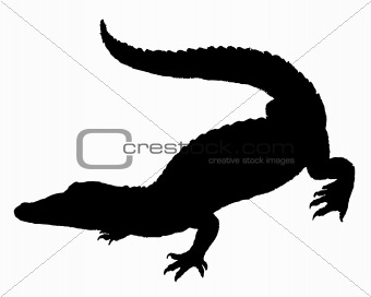 Crocodile Silhouette