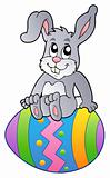 Bunny on Easter egg