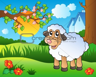 Cute sheep on spring meadow