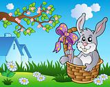 Spring meadow with bunny in basket