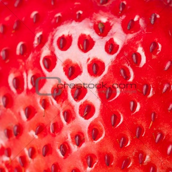macro strawberry