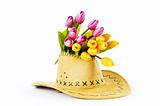 Tulips and cowboy hat isolated on white