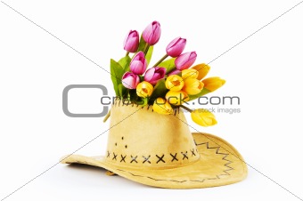 Tulips and cowboy hat isolated on white