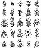 hand draw insect icon