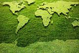 Green Grass World map