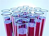 Ten test tubes with pink fluid and shallow DOF
