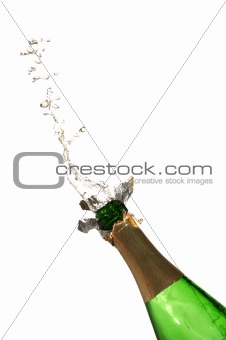 Bottle of champagne