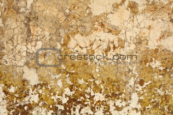 Nasty plaster on wall surface
