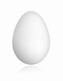 White egg for your design
