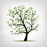 Spring tree green on grunge background for your design