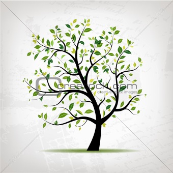 Spring tree green on grunge background for your design