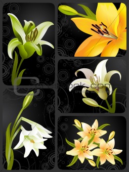   lily set, vector grunge floral background