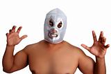 mexican wrestling mask silver fighter gesture
