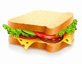 appetizing sandwich with cheese and vegetables