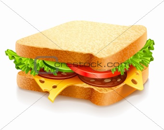 appetizing sandwich with cheese and vegetables