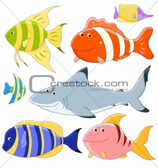 Vector collection of fish 