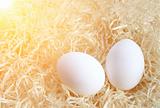 Two eggs 