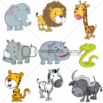 animal zoo cartoon