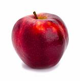 Ripe and juicy red apple a shank upwards isolated on a white background