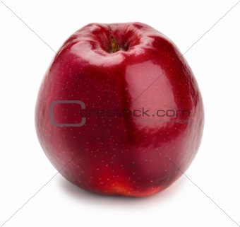 Ripe and juicy red apple a shank downwards isolated on a white background