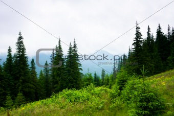 Beautiful mountains landscape