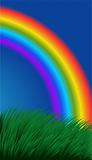 Background with grass and a rainbow