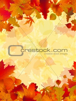 Autumn leaves background. EPS 8