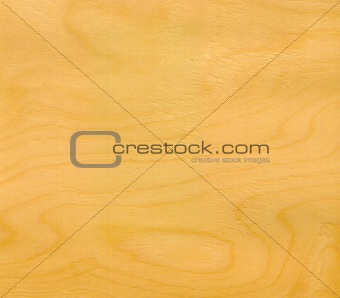 Wood, ice birch veneer