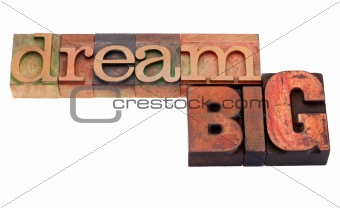 dream big  phrase in letterpress type