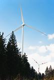 Wind Turbines in a Forest