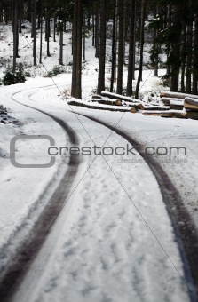 Winding Road in a Winter Forest