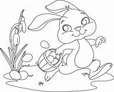 Easter Bunny Hiding Eggs. Coloring page