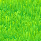 fresh grass texture