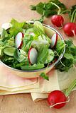 Fresh vegetable salad of cucumbers and radishes